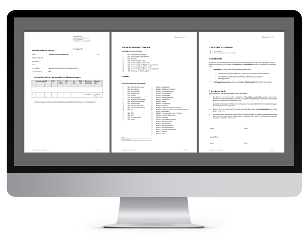 CCV Feature Standardisierter Output CCV Feature Standardisierter Output