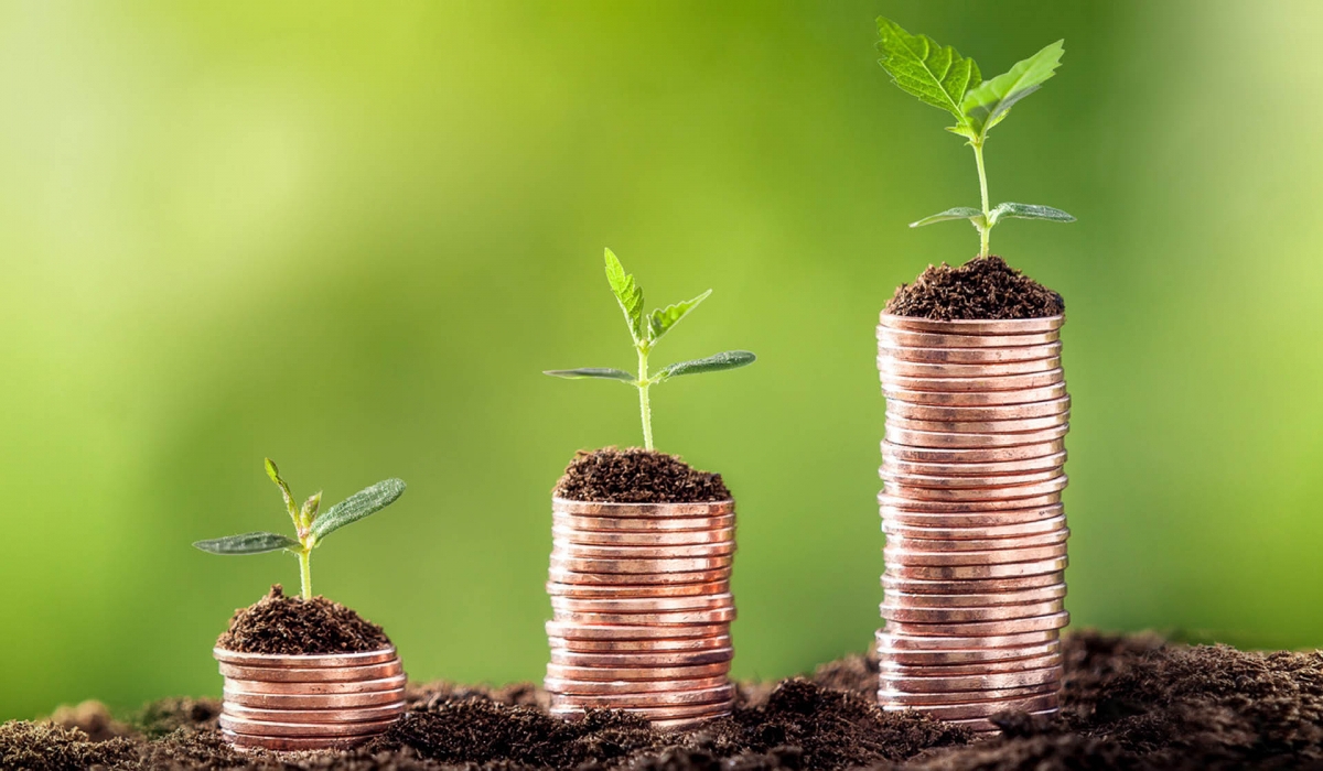 ESG Sustainable Growing